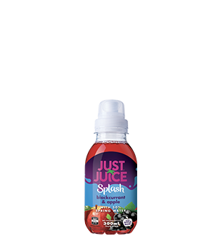 Bottle of Just Juice Splash Apple & Blackcurrant