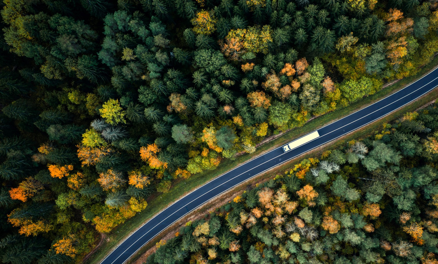 Top view a truck running through the middle of a forest